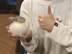 -肆月河豚·新淮扬(金融街店)