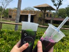 -扬州市茱萸湾风景区