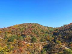 -北京西山国家森林公园