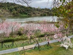 -福建鲤鱼洲酒店