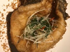 -广州富力君悦大酒店空中花园