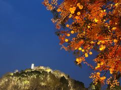 -荣小馆(临海世纪花城店)