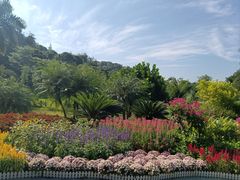 -云溪植物园