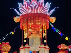 -淄博花灯齐彩城