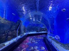 -顺德南宏海立方海洋公园