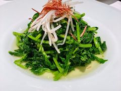 火丝银芽豆苗-江南雅厨(李公堤店)