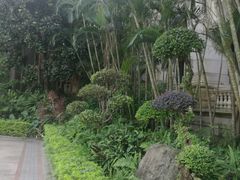 -广州凤凰城酒店-维也纳西餐厅