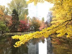 -北海道厅旧本厅舍(旧本庁舎)
