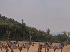 -杭州野生动物世界