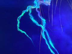 -石家庄海洋公园