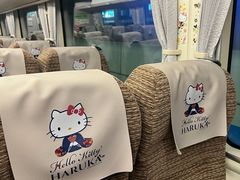 -关西机场 JR ticket office(Kansai Airport)