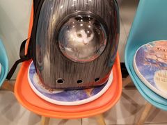 -纳吉亚猫专科动物医院博雅分院