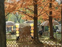 -洛阳市隋唐城遗址植物园