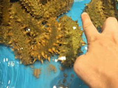 -隐厨·海鲜餐厅(恒通路店)