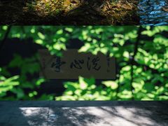 -西湖风景区十里琅珰-五云山