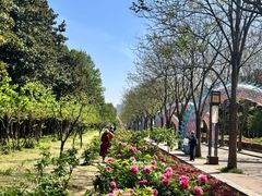 -洛阳市隋唐城遗址植物园