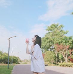 -YESIDO椰岛造型
