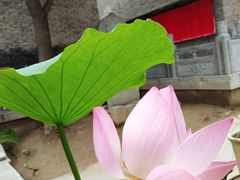 -罔极寺