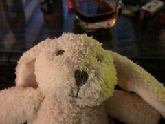 -顽啤熊·酒客酒馆(苏城夜景必选店)