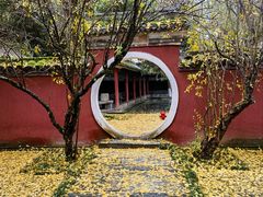 -武侯墓风景区