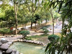 -三江森林温泉度假区