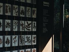-云溪植物园