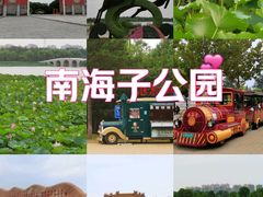 -南海子公园