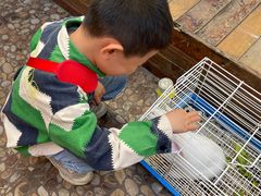 -大象厨房(重庆道店)