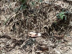 -敬亭山风景名胜区