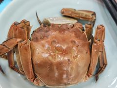-蟹上黄·蟹黄面·江南糖水(人民广场店)