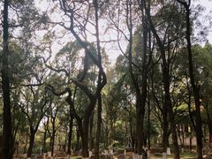 -昆明动物园