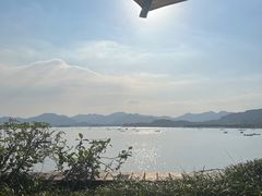 -湖畔居茶楼(湖滨店)