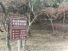 -南京老山国家森林公园