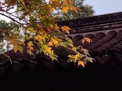 -常熟方塔园