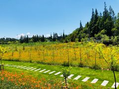 -长兴岛郊野公园农场食堂
