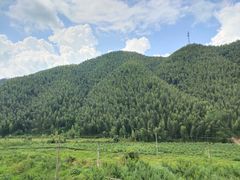 -永州阳明山国家森林公园