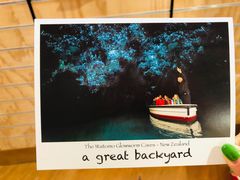 -怀托摩萤火虫洞