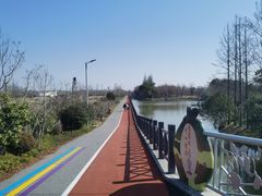 -上海长兴岛郊野公园