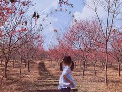 -田野绿世界