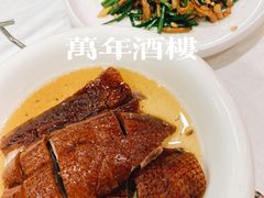-万年酒楼(越秀南路店)
