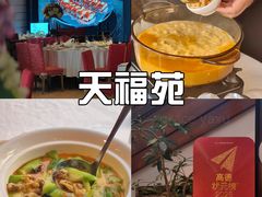 -天福苑(崇宁路店)