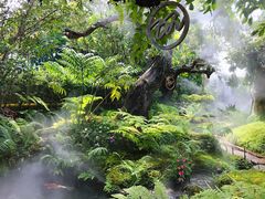 -Chom Cafe and Restaurant