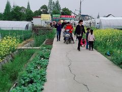 -小鱼草莓采摘园农家乐·小鱼餐厅