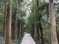 -小南山公园