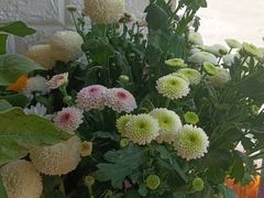 -雪蔓之鲜花气球派对(家佳源时代中心店)
