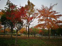 -白塘生态植物园