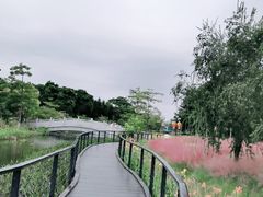 -映月湖公园