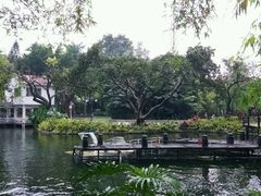-晓港公园
