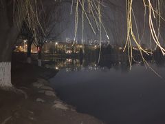 -前关湿地公园