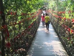 -呀诺达热带雨林